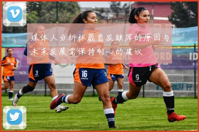 媒体人分析林葳首发缺席的原因与未来发展需保持耐心的建议