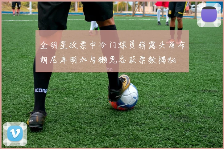 全明星投票中冷门球员崭露头角布朗尼库明加与獭兔各获票数揭秘