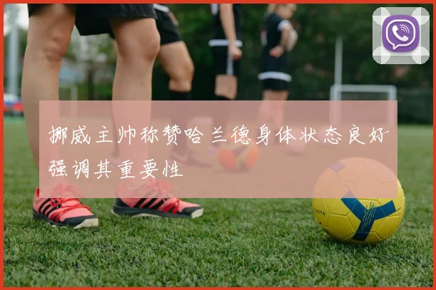 挪威主帅称赞哈兰德身体状态良好强调其重要性