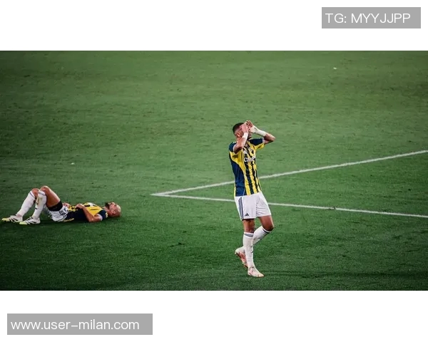 费耶诺德球场安保在欧联资格赛后遭袭警方持续调查中